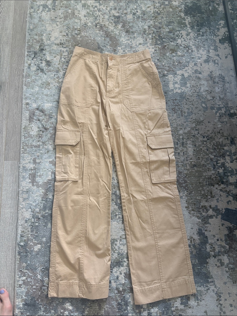 Abercrombie & Fitch Tan Cargo Pants Curve Love